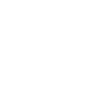 pik-nest holigan